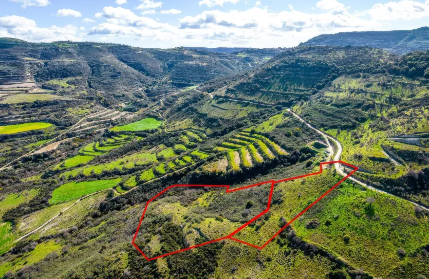 Agricultural land - 18263, photo 2