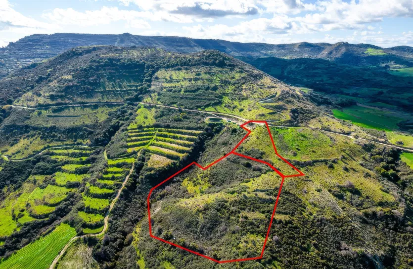 Agricultural land - 18263, photo 3