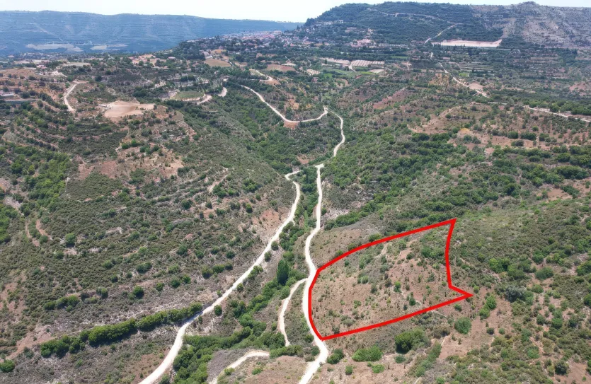 Agricultural land - 18262, photo 2