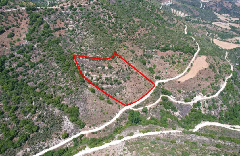 Agricultural land - 18262, photo 3