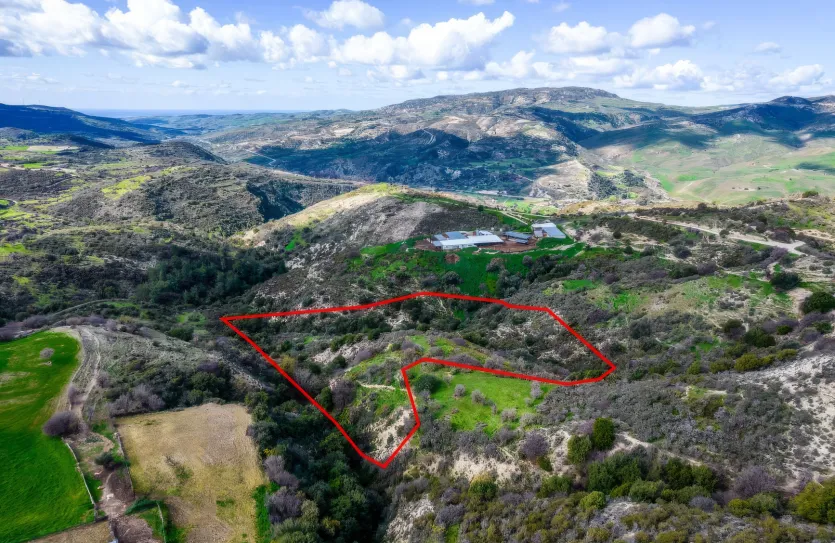 Agricultural land - 18260, photo 2