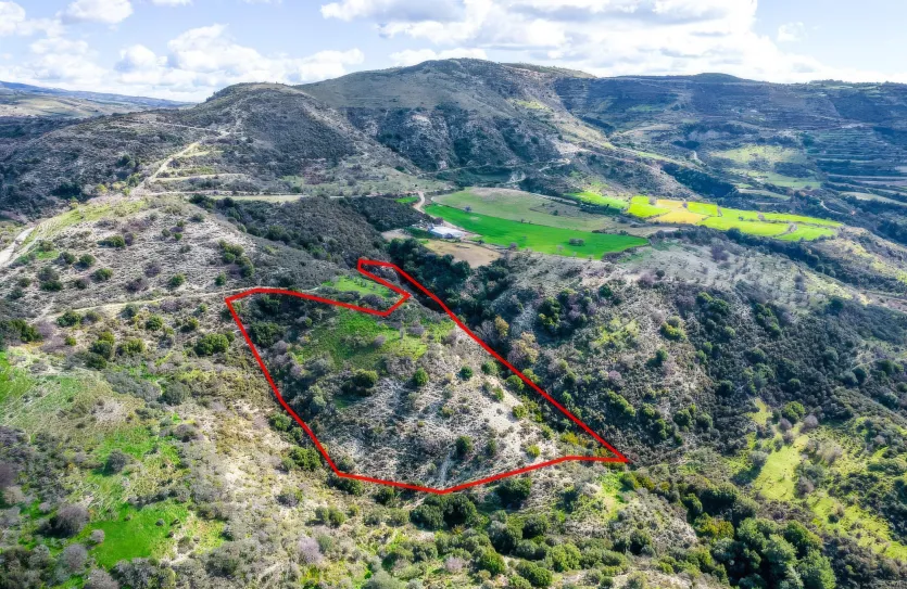 Agricultural land - 18260, photo 3