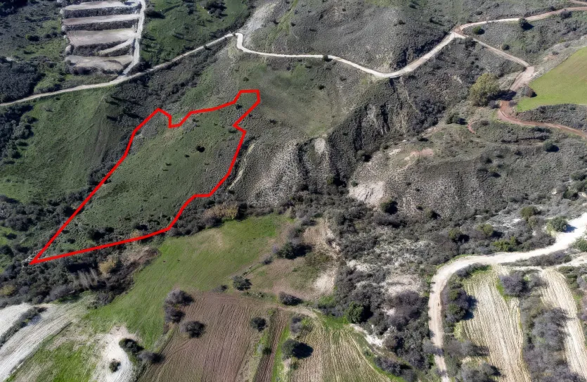 Agricultural land - 18279, photo 3