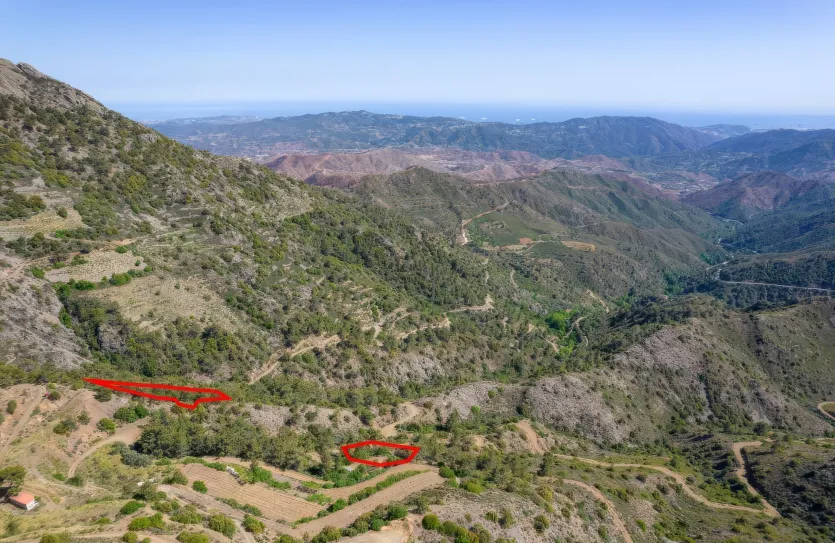 Agricultural land - 18278, photo 3