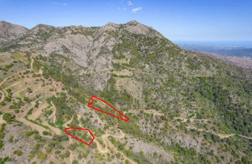 Agricultural land - 18278, photo 4