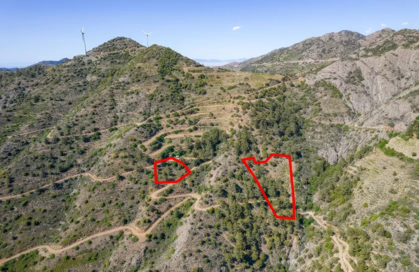 Agricultural land - 18278, photo 5