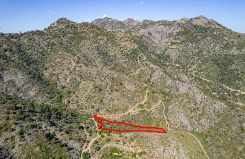 Agricultural land - 18278, photo 7