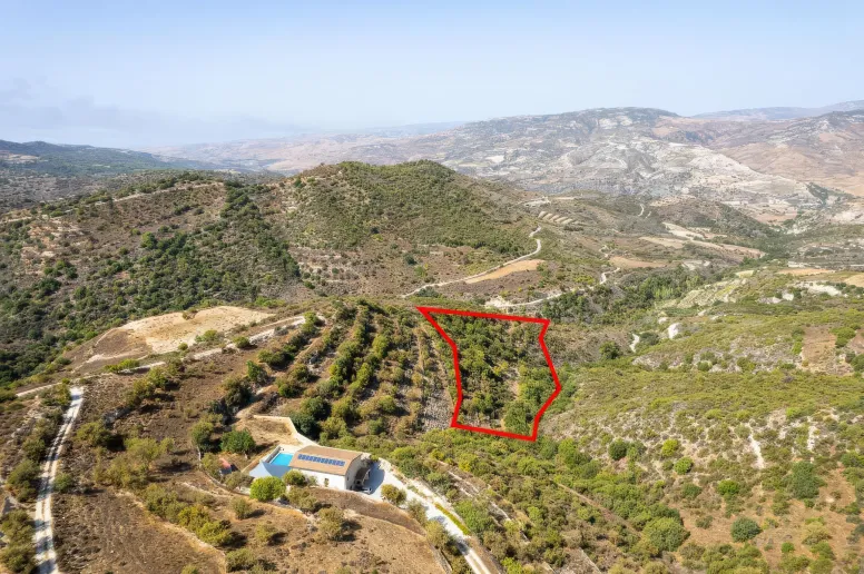 Сельхоз земля в Доре, Лимассол