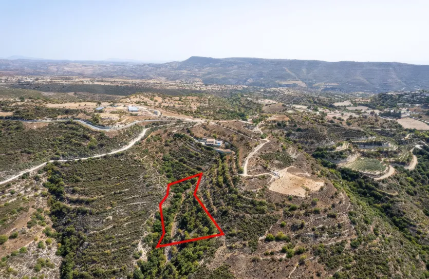 Agricultural land - 18276, photo 3