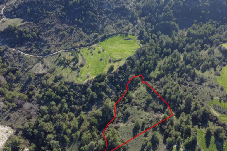 Сельхоз земля в Маусере, Пафос