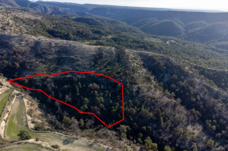 Agricultural land in Pano Archimandrita, Paphos