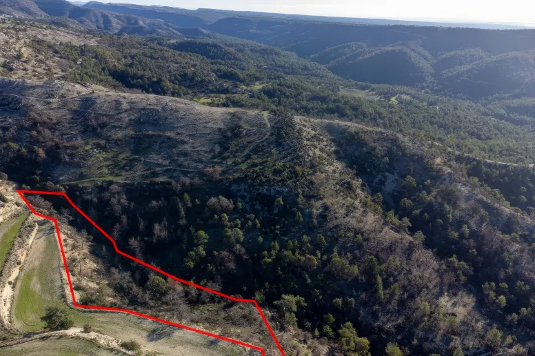 Agricultural land in Pano Archimandrita, Paphos