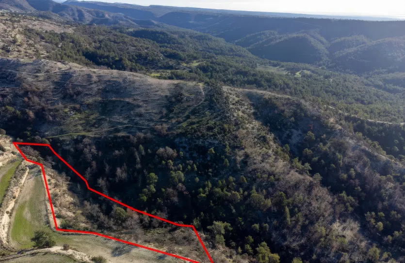 Agricultural land for sale - 18273