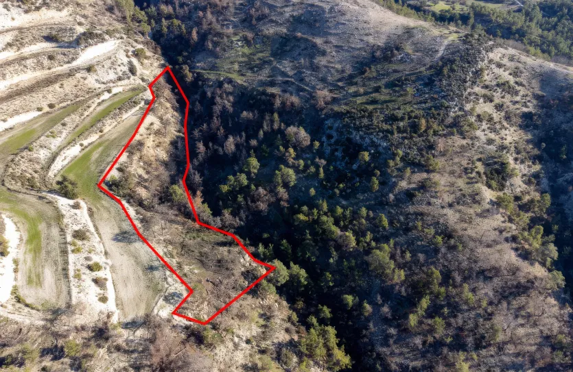 Agricultural land - 18273, photo 3