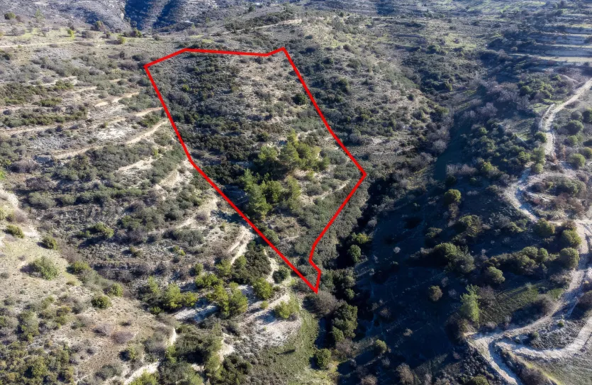 Agricultural land - 18270, photo 3