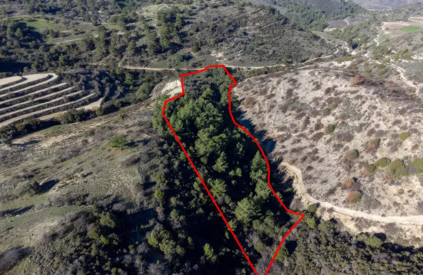 Agricultural land - 18272, photo 2