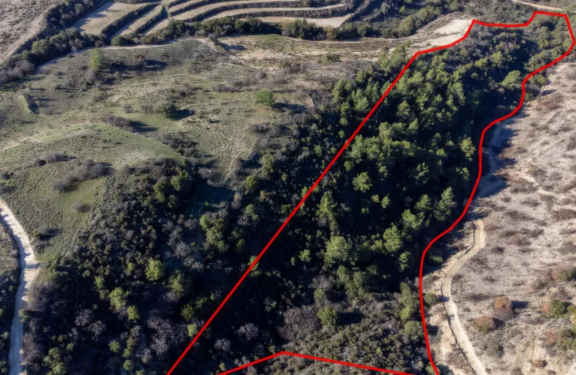 Agricultural land - 18272, photo 3