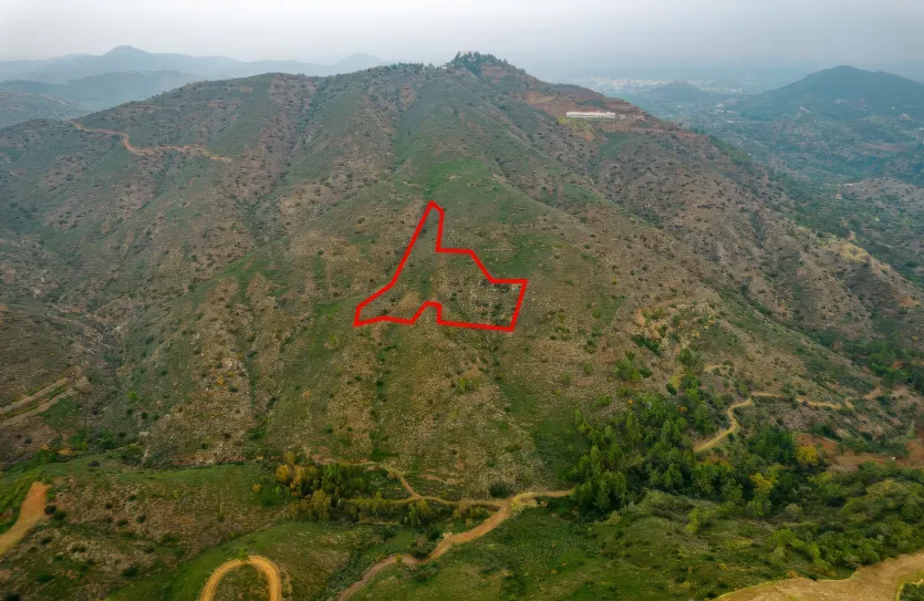 Agricultural land - 18287, photo 2