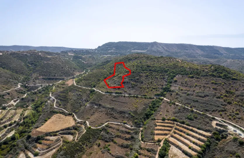 Agricultural land - 18285, photo 2