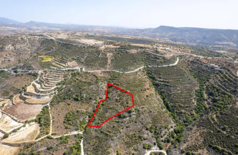 Agricultural land - 18284, photo 2