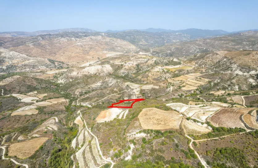 Agricultural land - 18283, photo 2