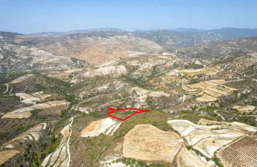 Agricultural land - 18283, photo 3