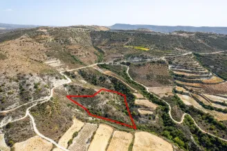 Agricultural land in Dora, Limassol - 18282