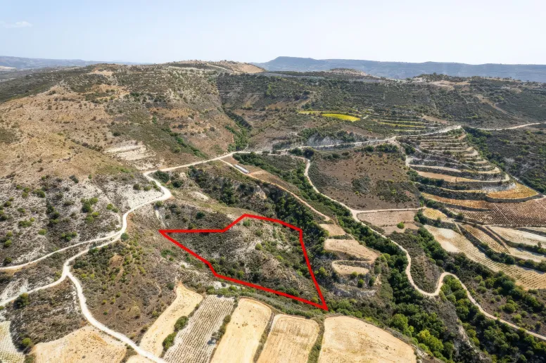 Сельхоз земля в Доре, Лимассол