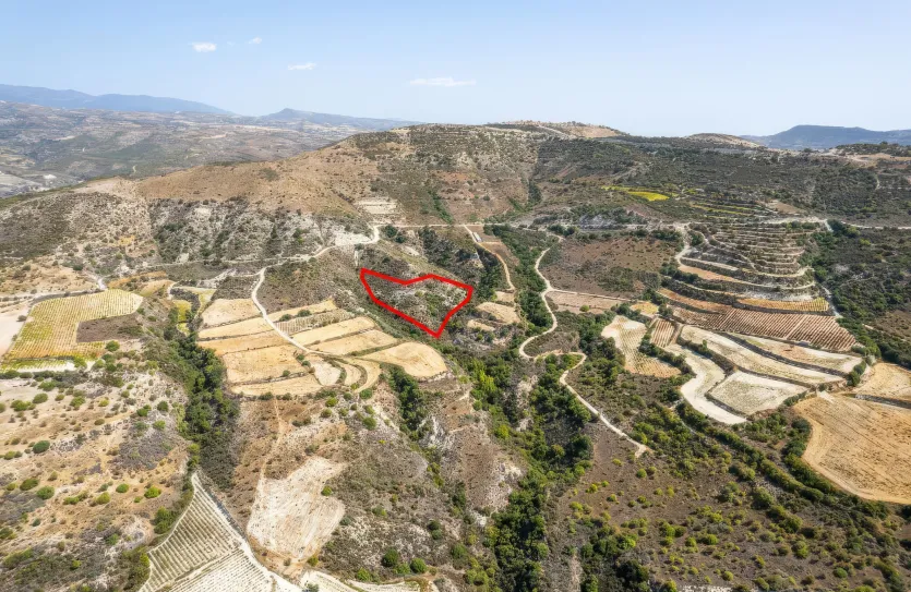 Agricultural land - 18282, photo 2