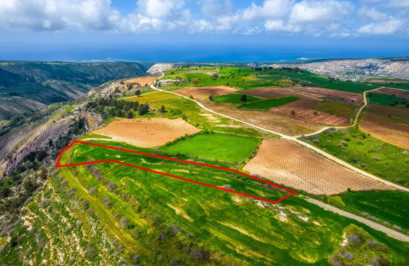 Agricultural land - 18293, photo 5