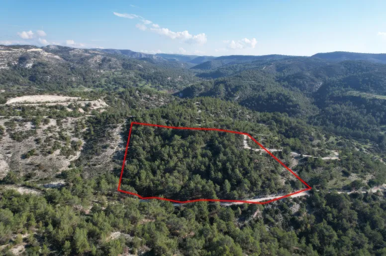 Agricultural land in Pano Archimandrita, Paphos