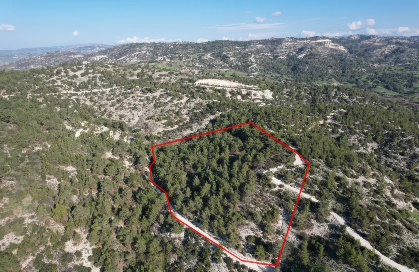 Agricultural land - 18291, photo 2