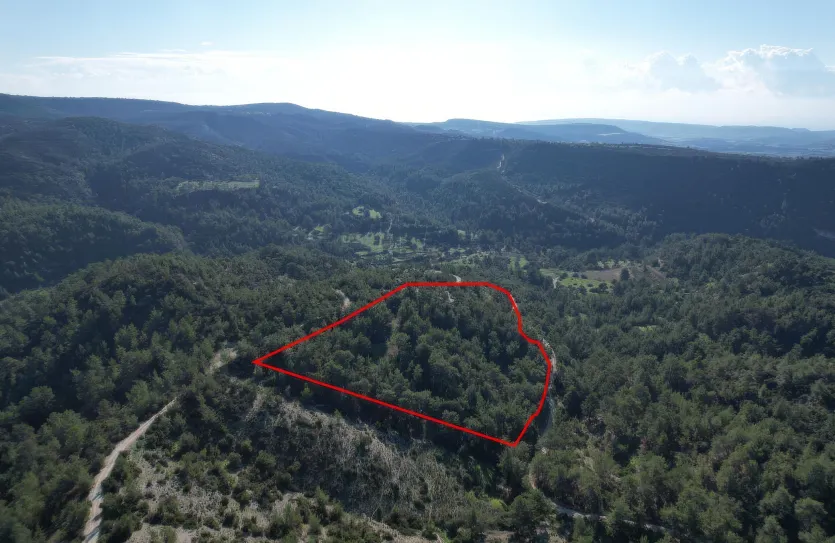 Agricultural land - 18291, photo 3