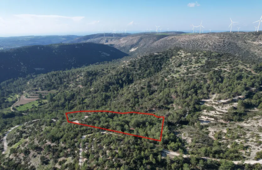 Agricultural land - 18291, photo 4