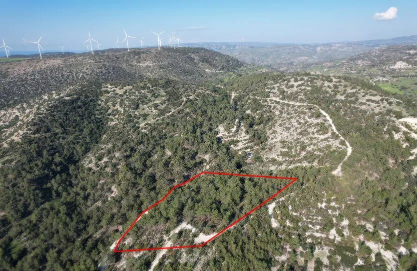 Agricultural land - 18291, photo 5