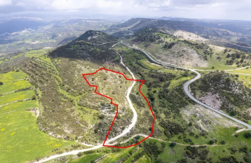 Agricultural land - 18295, photo 4