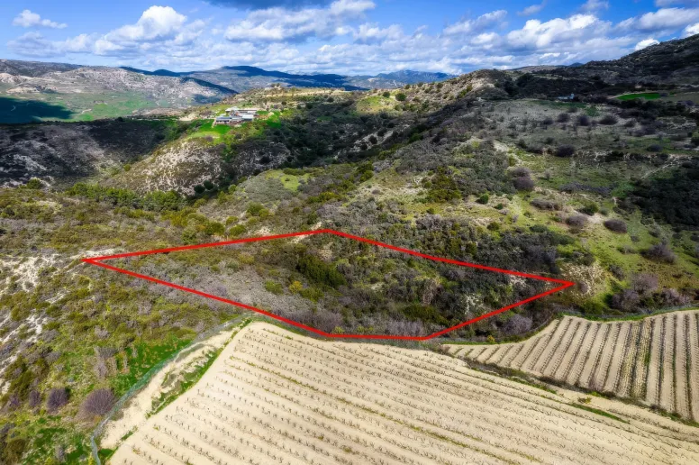 Сельхоз земля в Доре, Лимассол