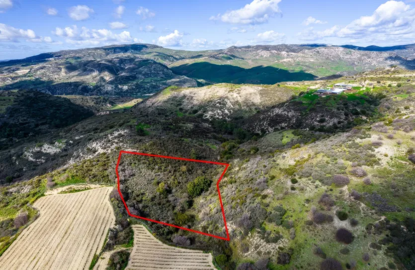 Сельхоз земля - 18296, photo 2