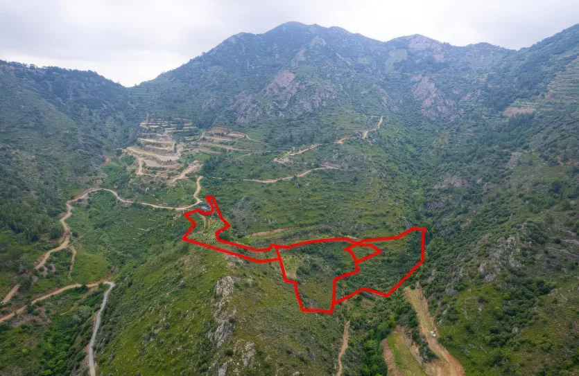 Agricultural land - 18298, photo 2