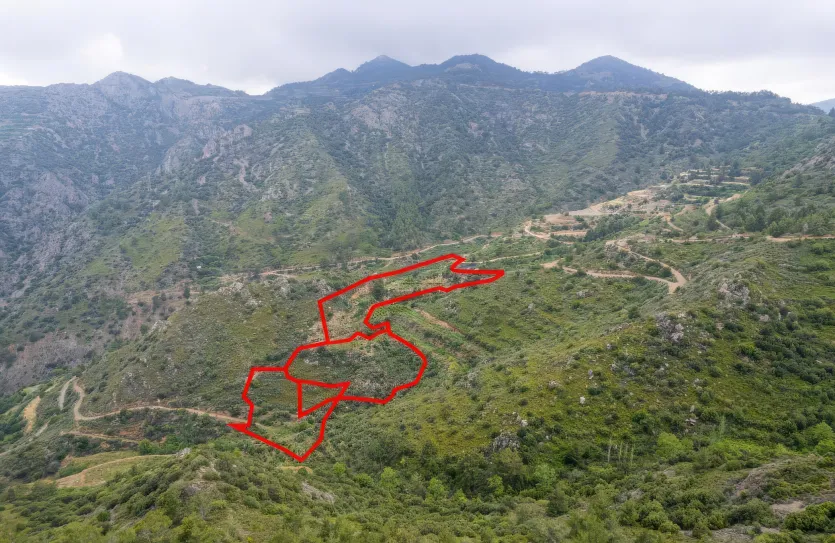 Agricultural land - 18298, photo 3