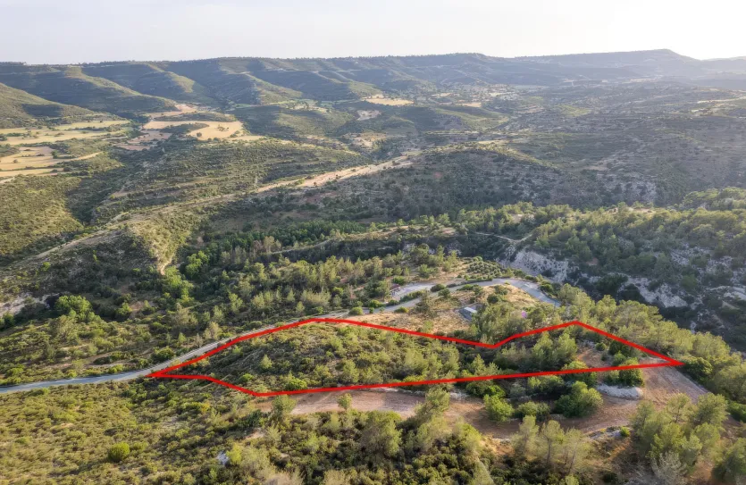 Agricultural land - 18299, photo 2