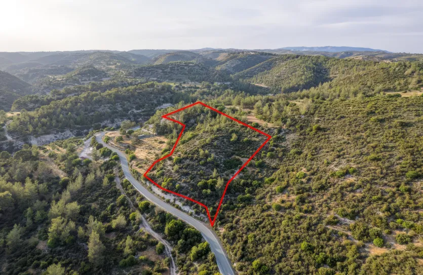 Agricultural land - 18299, photo 4