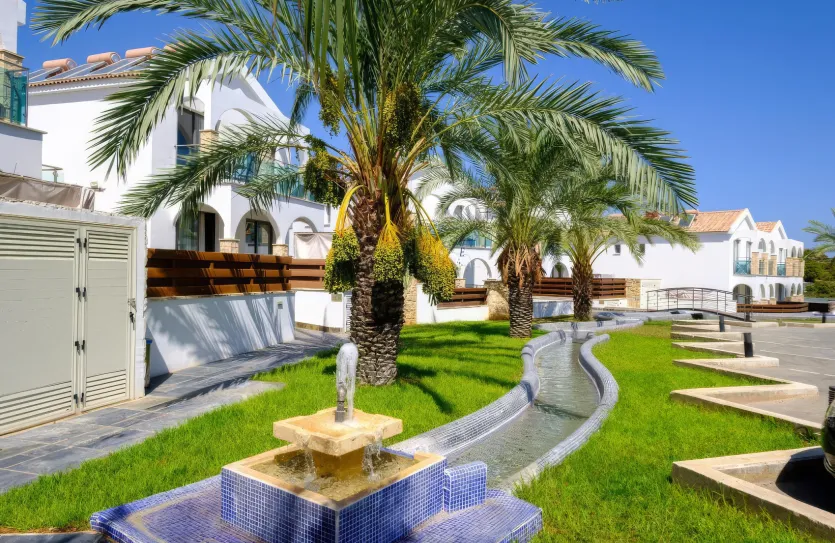 1 bedroom apartment - 18302, photo 13