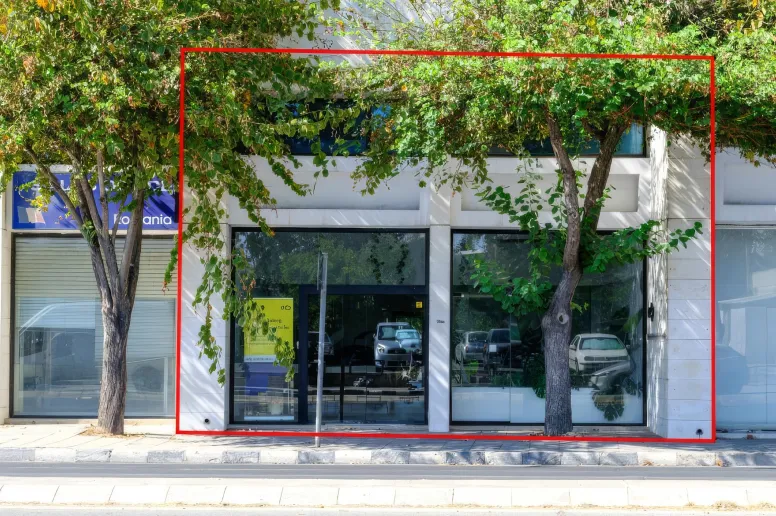 Офис в Агии Омологитес, Никосия