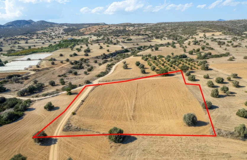 Land - 18375, photo 4