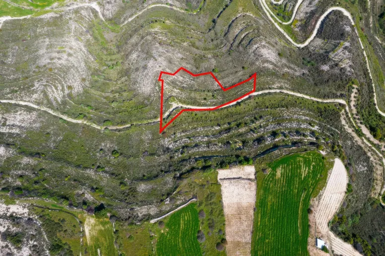 Сельхоз земля в Пачне, Лимассол