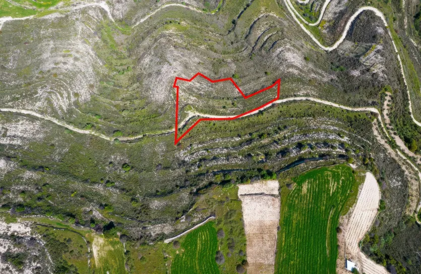 Сельхоз земля продажа - 18481