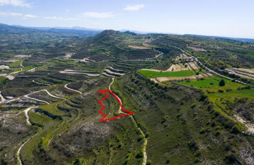 Сельхоз земля - 18481, photo 2