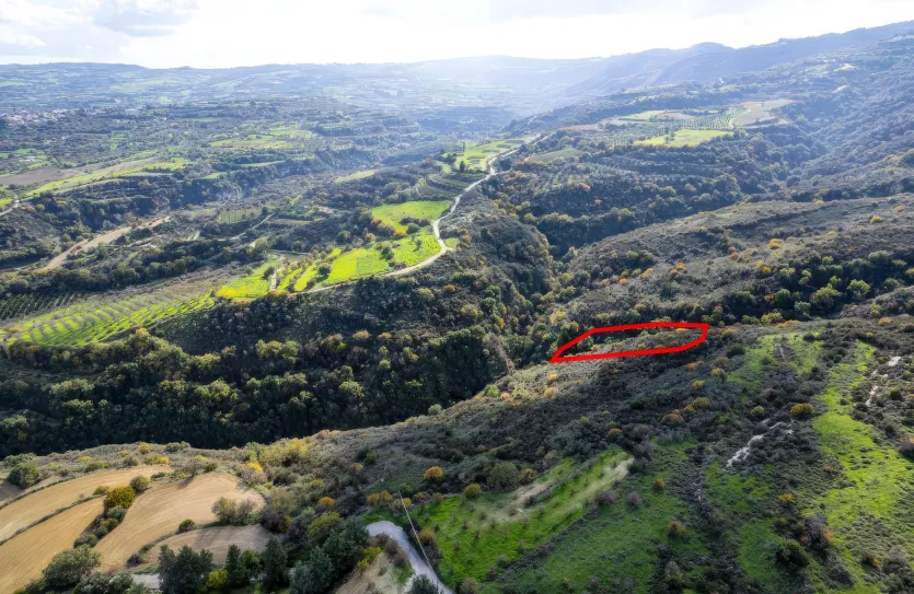 Agricultural land - 18485, photo 3