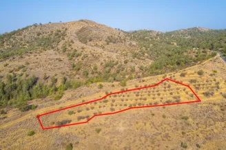 Agricultural land in Agia Marina Xyliatou, Nicosia - 18487